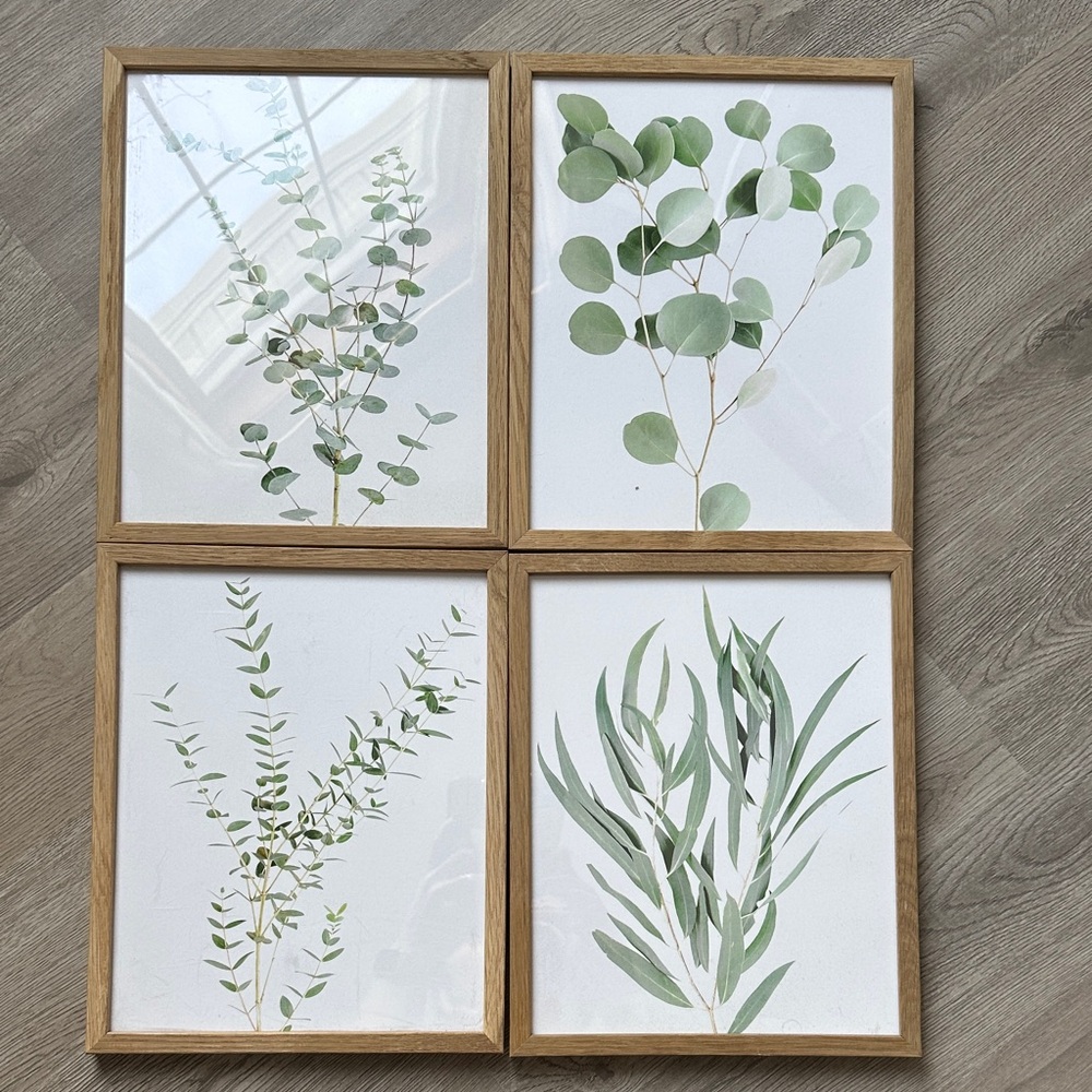 Set of 4 Botanical Wall Art Prints with Wooden Frames